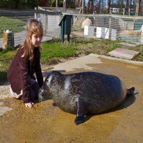 Sanna en zeehond Nuno.jpg